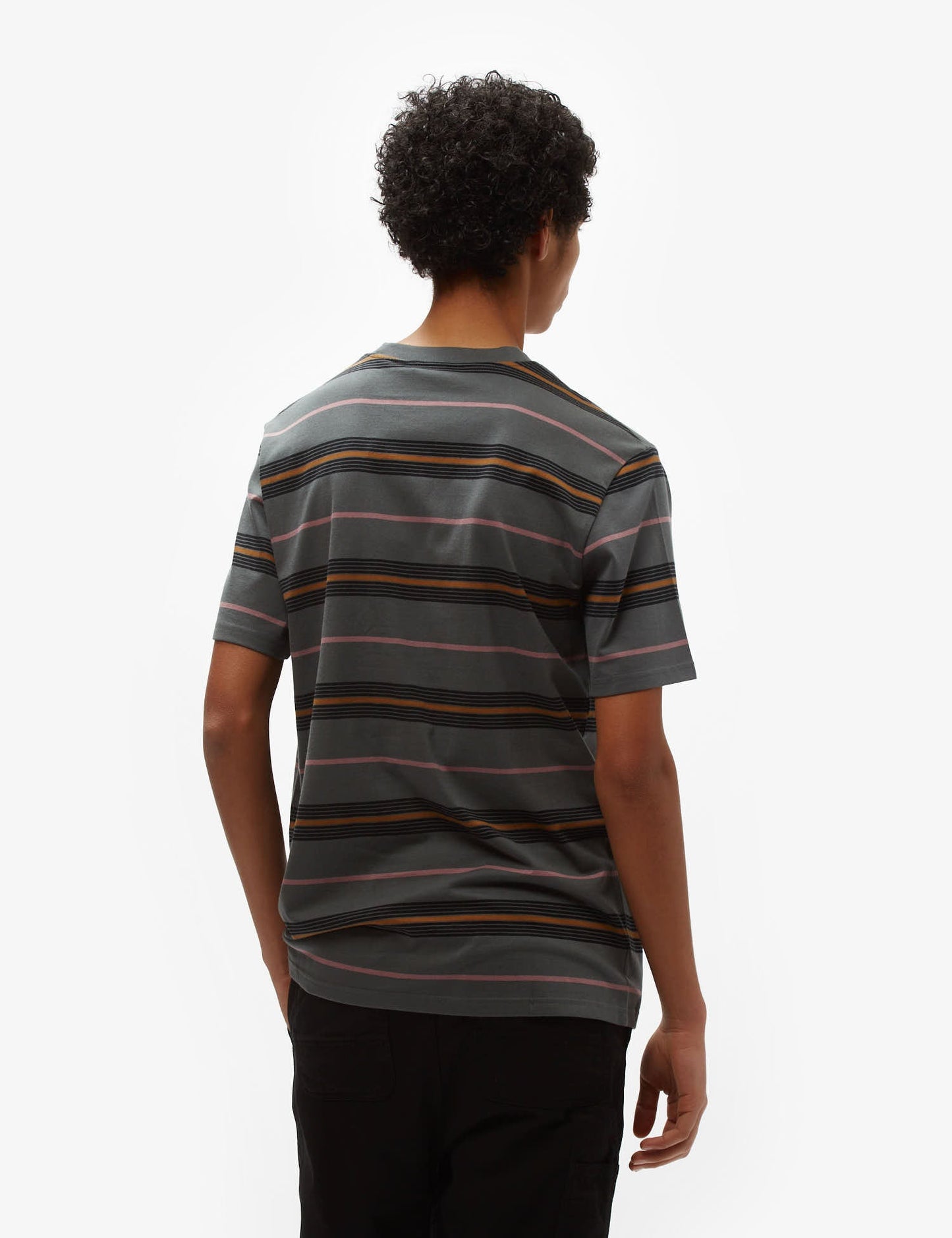 Haynes Stripe T-Shirt - Jura Green